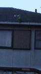 100821_1804~01.jpg