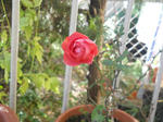 DSCN0353.JPG