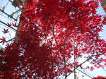 DSCN0354.JPG