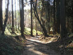 DSCN0360.JPG