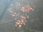 DSCN0361.JPG