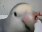 DSCN0382.JPG