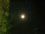 DSCN0402.JPG