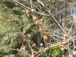 DSCN0444.JPG