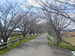 DSCN0445.JPG