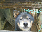 DSCN0519.JPG