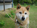 DSCN0520.JPG