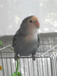 DSCN0533.JPG