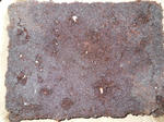 DSCN0572.JPG