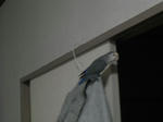 DSCN0594.JPG