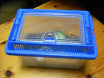DSCN0606.JPG