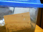DSCN0605.JPG