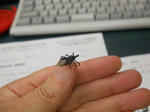 DSCN0629.JPG