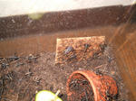 DSCN0698.JPG