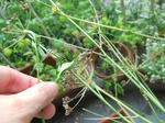 DSCN0691.JPG