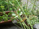 DSCN0692.JPG