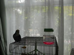 DSCN0699.JPG