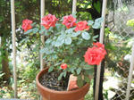 DSCN0727.JPG