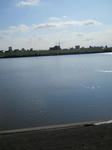 DSCN0742.JPG