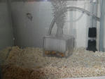 DSCN0724.JPG