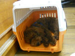 DSCN0752.JPG