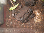 DSCN0744.JPG