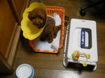 DSCN0775.JPG