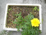 DSCN0772.JPG
