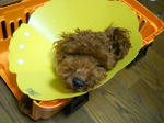 DSCN0781.JPG