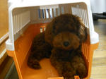 DSCN0801.JPG