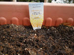 DSCN0819.JPG