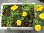 DSCN0820.JPG