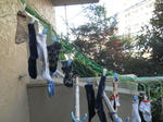 DSCN0809.JPG