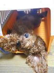 DSCN0805.JPG