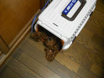 DSCN0806.JPG