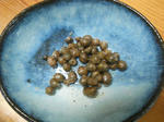 DSCN0846.JPG