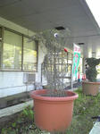 111204_104955.jpg