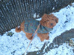 DSCN0972.JPG