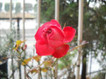 DSCN1013.JPG