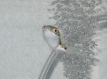 RSCN0746.JPG