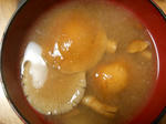 DSCN1069.JPG