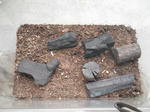 DSCN1139.JPG