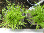 DSCN1244.JPG