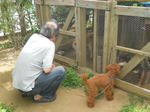 DSCN1253.JPG