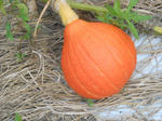 DSCN1262.JPG