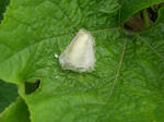 DSCN1263.JPG