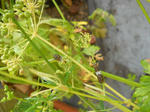 DSCN1281.JPG