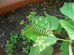DSCN1282.JPG