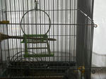 DSCN1289.JPG