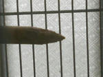RSCN1294.JPG